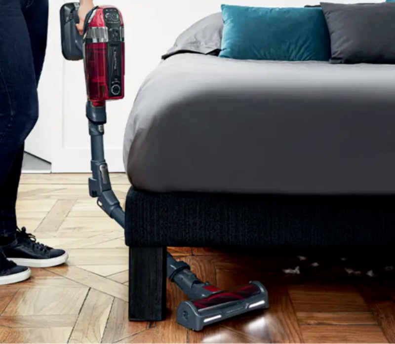 animal kit rowenta aspirateur sans fil animaux